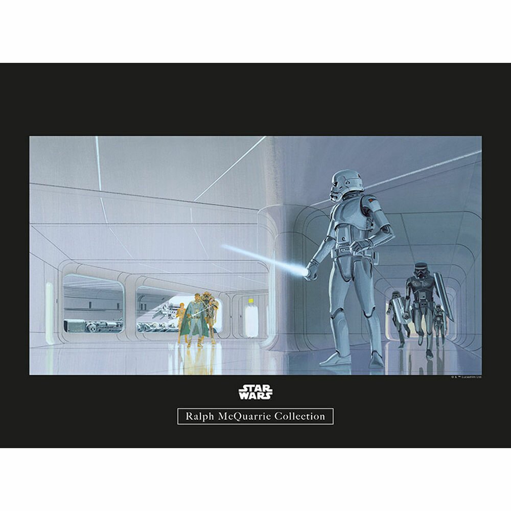 Poster Star Wars Stormtrooper Flur