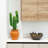 28in. Artificial Cactus in Terracotta Planter