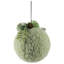 Plush Christmas Ball Ornament With Winter Foliage - 4" - Green