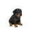 Sitting Rottweiler Puppy Statue