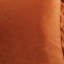 Conner Velvet Lumbar Pillow Cover & Insert-102884623