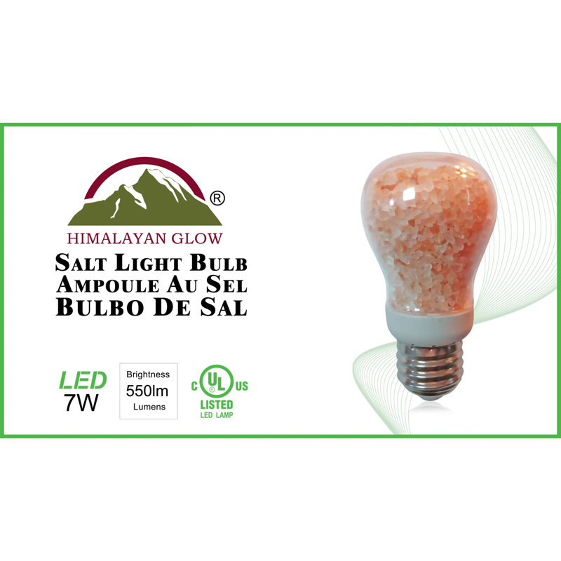 Amber Himalayan Salt Dimmable Decorative Light Bulb Set