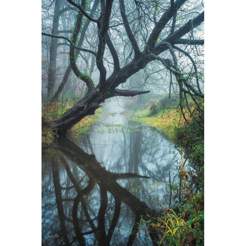 «Tree Magic On Canvas» par Martin Podt, reproduction, H 48 po x l 32 po