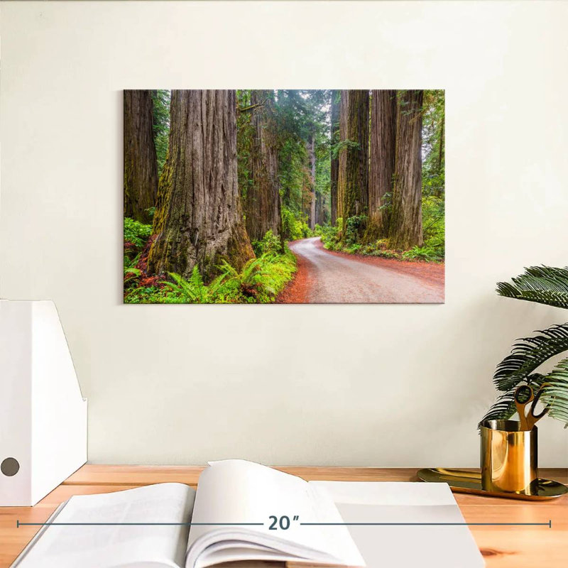 Harnek Redwood Forest Dirt Road, H 8 po x l 12 po
