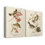 Oiseau de riz Wandering - ensemble de 2 reproductions d'art sur toiles-248686318-248686316