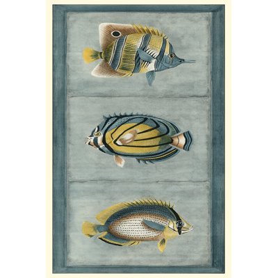 Tropical Fish Trio I 1 Piece Wrapped Canvas Wall Art