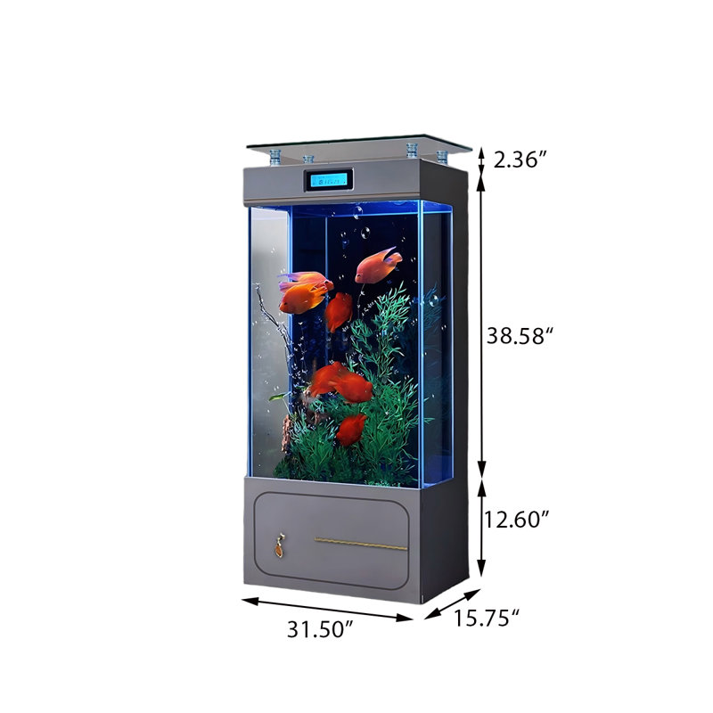 Aquarium de luxe 31,5 po, 56.8 Gallon (53.54"H x 31.5"W x 15.75"D), Transparent / gris
