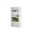 Mackensy 162cm H Bookcase-53996772