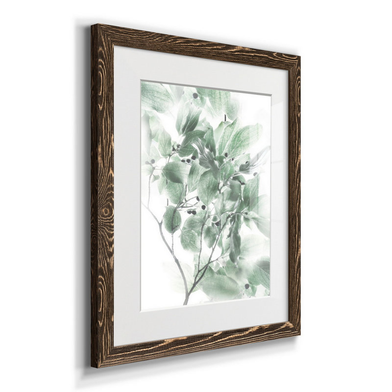Berry Blush I - cadre photo, impression sur papier, H 24 po x l 18 po x P 1,5 po, Noyer
