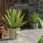 Diandrea Handmade Ceramic Pot Planter-289754463