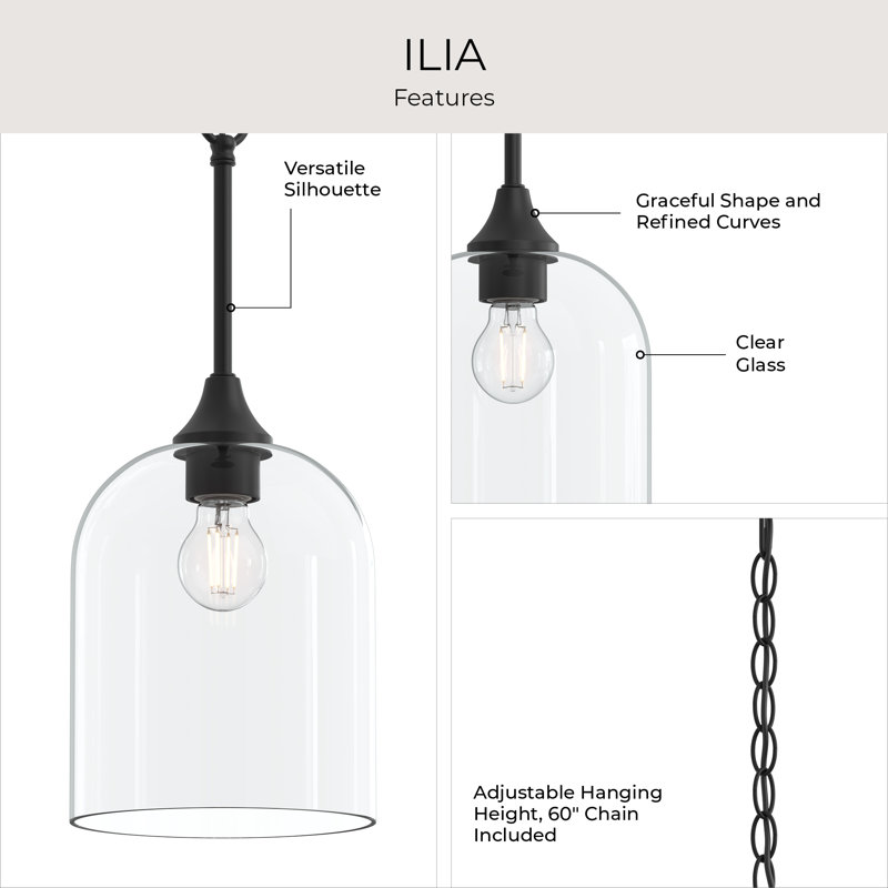 Ilia 1-Light Matte Black Pendant with Clear Glass Shade, Matte Black