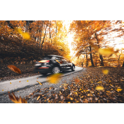 Autumn Drive by Borchee