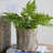 Set Of 2 Wooden Stake Shape Planter, 6.5"x6.5"x6.5"