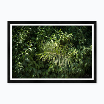 Athens Palm Print by Tim Klein