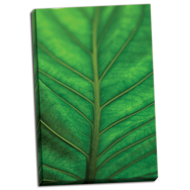 « leaf detail v », reproduction de photo sur toile tendue