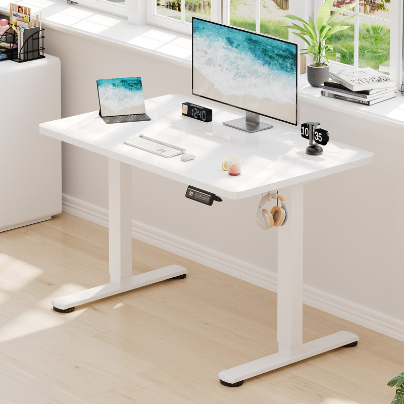 Mallus 120CM x 60CM Electric Height Adjustable Standing Desk, Black, 100cm. W x 60cm. D