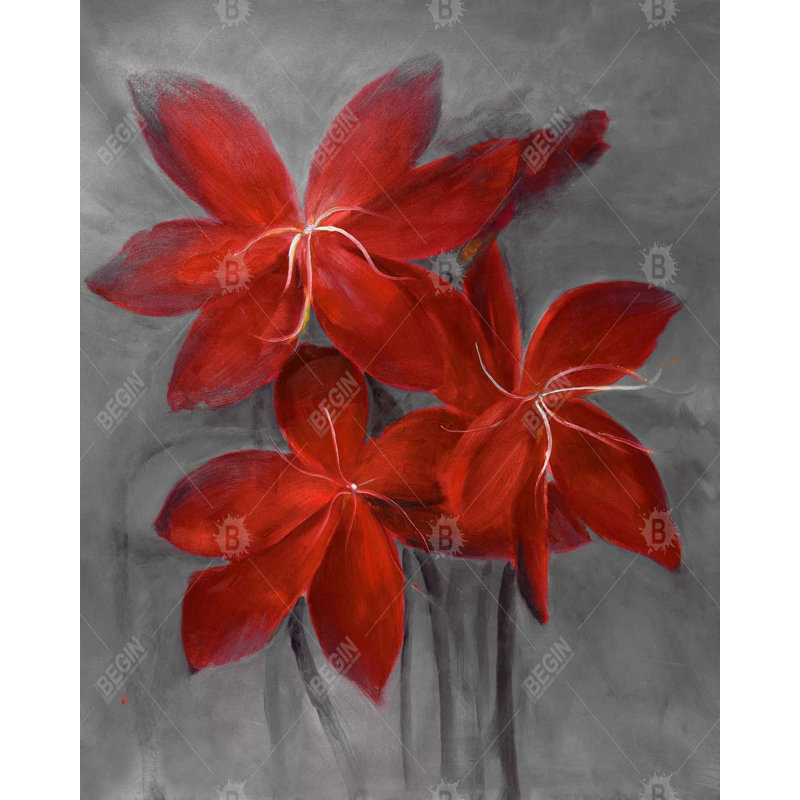 Asiatic Lily Print On Canvas