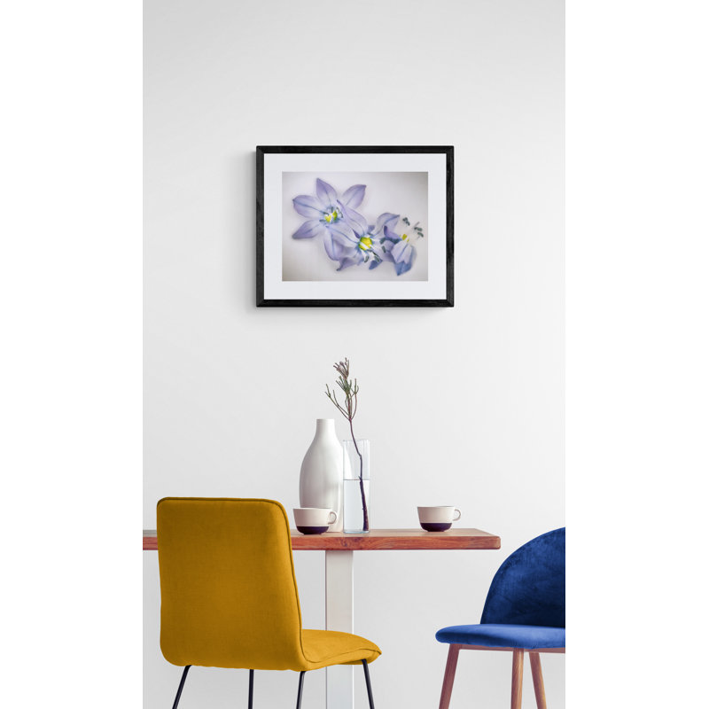 Fleurs printanières sur fond blanc par Scott Norris, H 17,25 po x l 21,25 po x P 0,875 po