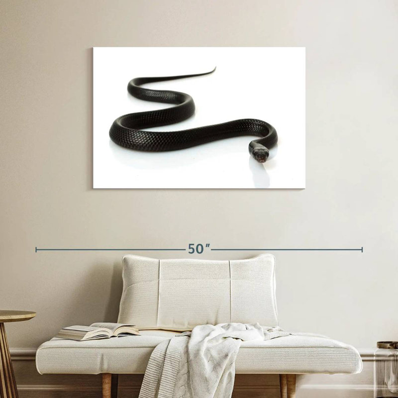 Serpent indigo Brampt, H 26 po x l 39 po