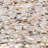 Baroque 12" x 12" Seashell Mosaic Wall Tile
