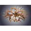 Kelly 8 - Light Chandelier-195541934