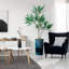 66 plantes-97700206