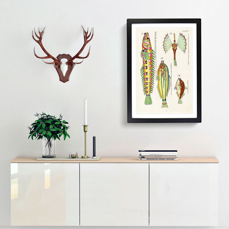 East Indies Fish Illustrations Onzieme by Louis Renard - Picture Frame Graphic Art Print, 48cm H x 36cm W x 2cm D