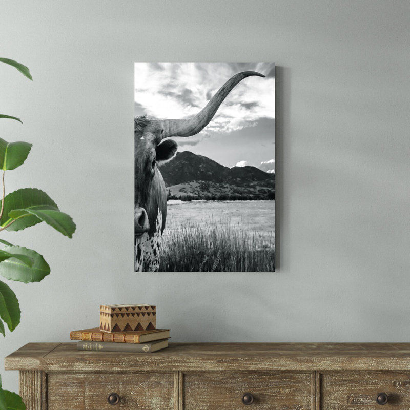 «Black and White Longhorn Cow» - Photographie sur toile tendue, H 30 po x l 20 po, Non, Toile encadrée noire