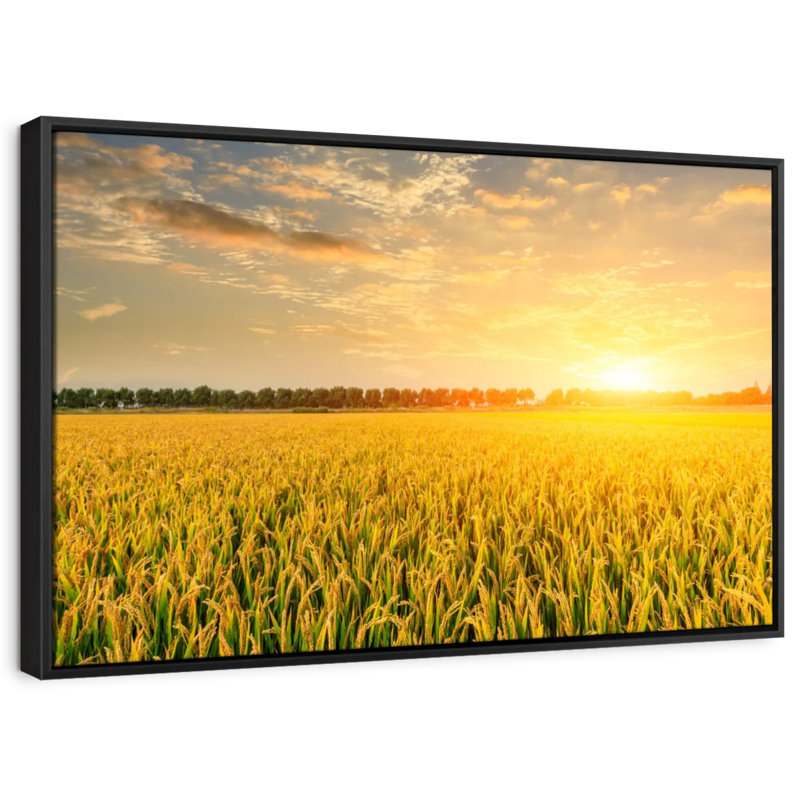 Sunset Field Canvas Print, 29" H x 43" W