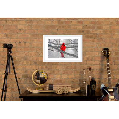 «Cardinal Bird», impression