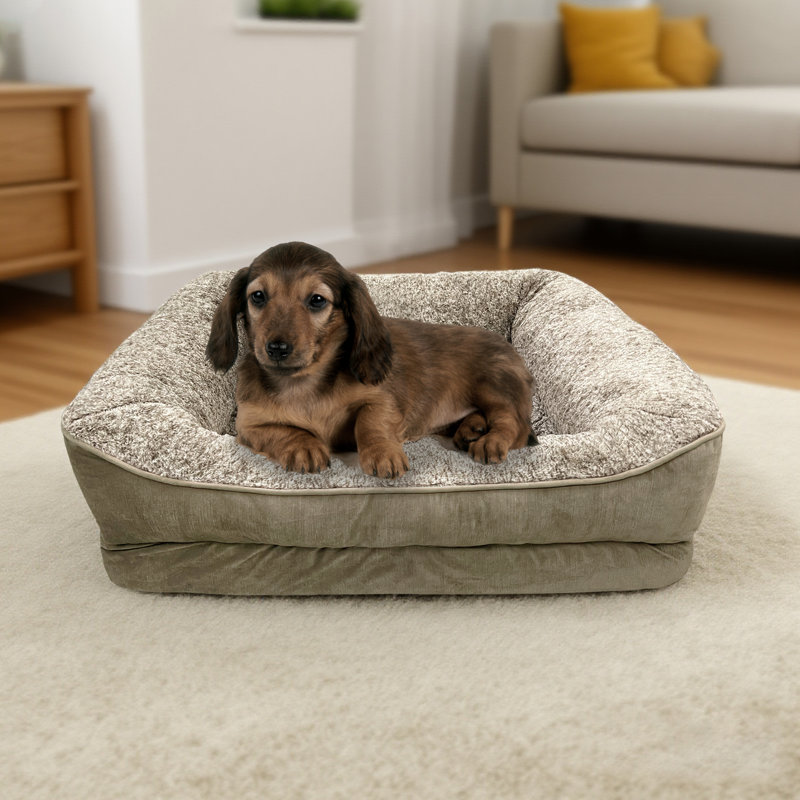 Lit pour animal de compagnie Beautyrest, Moyen (l 32 po x P 27,5 po x H 11 po), Tanné