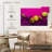 Yarlin Magenta And Yellow Macarons-108951932