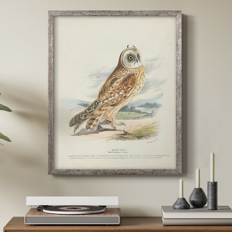 Hawk Owl, reproduction encadrée - bois massif, H 15 po x l 12 po