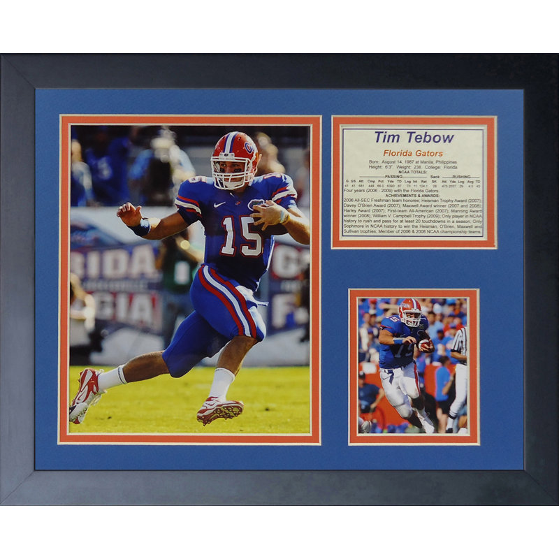 Single Picture Frame Memorabilia