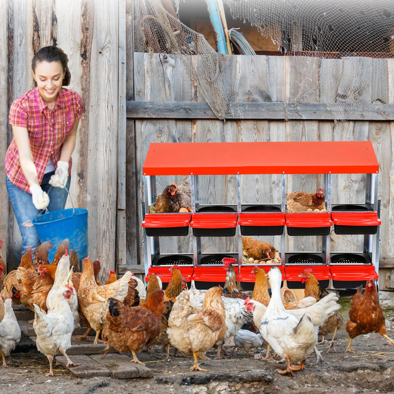 Chicken Egg Incubator For Up To, Red