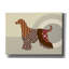 "Chien afghan" par Lanre Adefioyue-1252225367