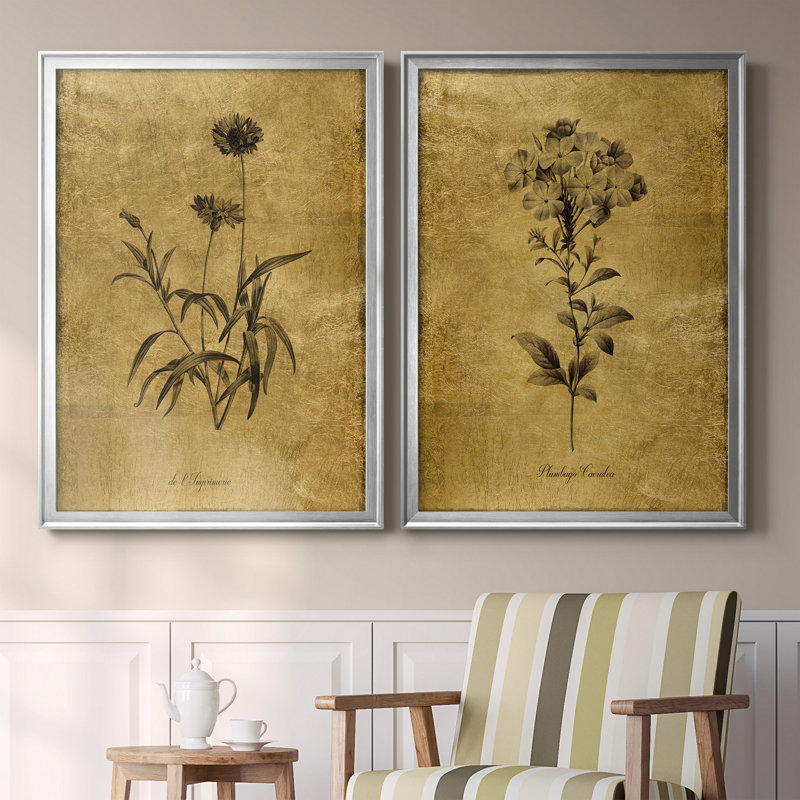 Gold Botanical Sketches Silver Framed Canvas Set