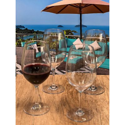 Plastic Wine Glasses Set of 4