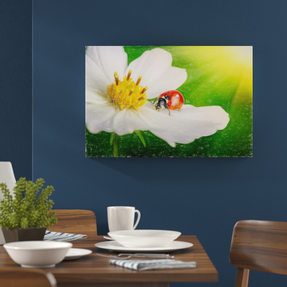 Leinwandbild „Marienkäfer auf einer weißen Blume“, Grafikdruck