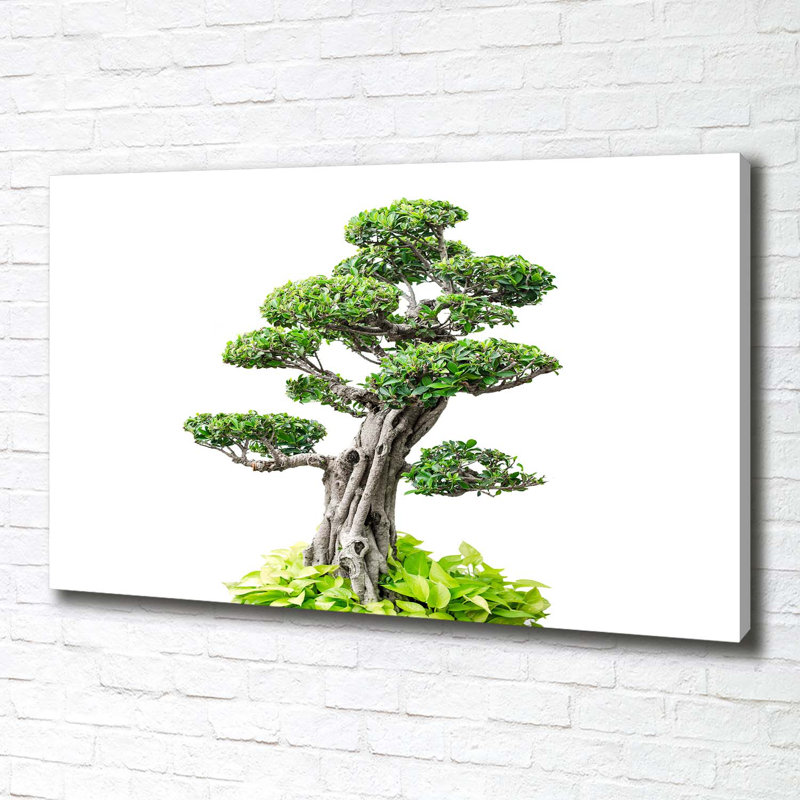 Bonsai Tree - Wrapped Canvas Print