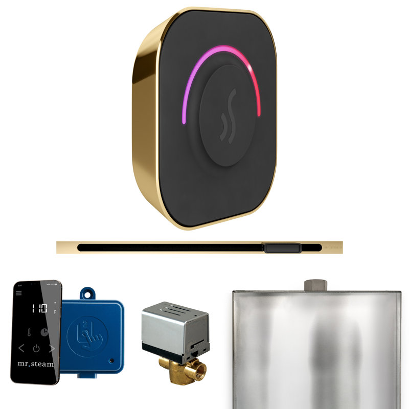 ButlerTouch Steam Shower Control Package with TempoTouch Control and Linear Steamhead , Polished Brass