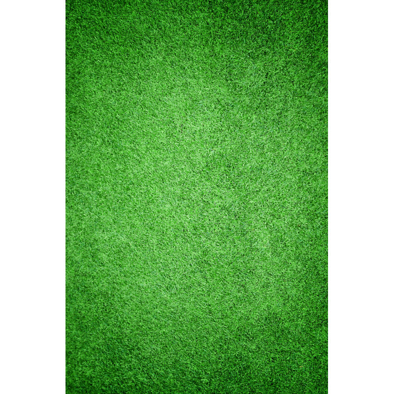 Beautiful Green Grass Texture by Prapann - Wrapped Canvas Print, 30.48cm H x 20.32cm W