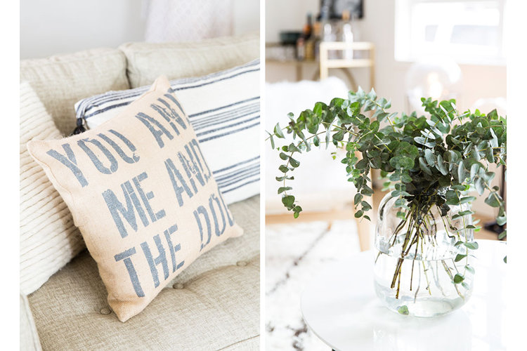 Graphic pillow and plant details