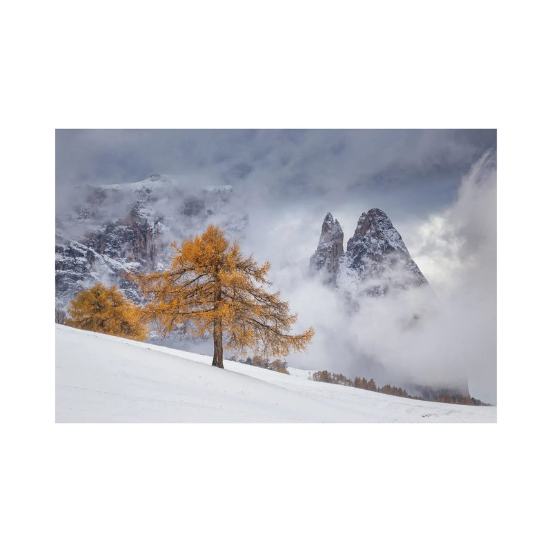 Between Seasons 1 Piece Wrapped Canvas Wall Art, 20.32 cm H x 30.48 cm W