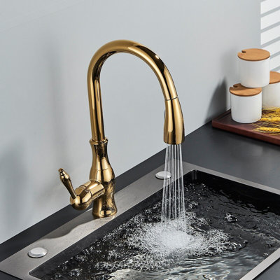 Fairmont Park Osterdock Pull Out Kitchen Faucet