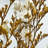 Real Preserved Mixed Bouquets Mix 6 Small - Med - Large-1575277994