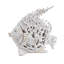 Coral Look Angelfish  11" x 6.5" x 10"  White