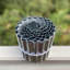 Altider 16.5cm H x 500cm W Silver Metal Lawn Edging