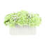 Baby's Breath and Hydrangeas Arranged in Ceramic Vase