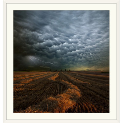 Straub " Mammatus " by Franz Schumacher